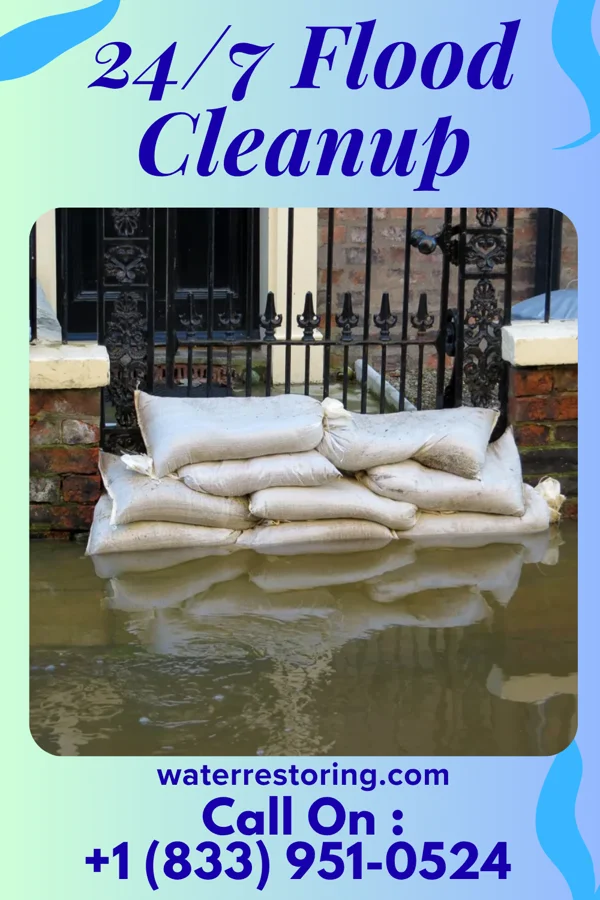 24/7 Flood Cleanup in Brownsville, MN