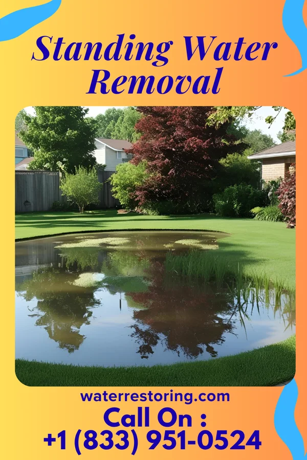 Standing Water Removal in Brownsville, MN